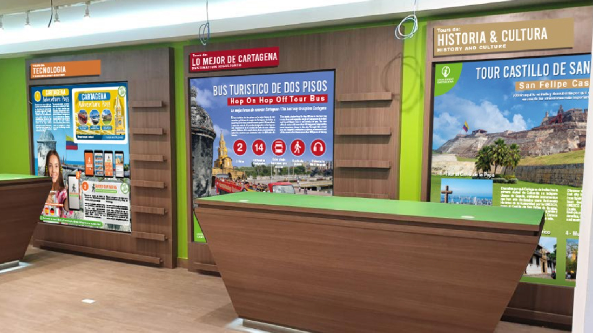 local expert_Mesa de trabajo 1 copia 11